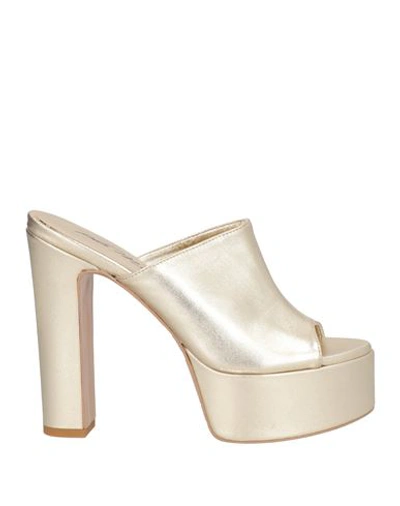 Shop Paolo Mattei Woman Sandals Gold Size 8 Leather