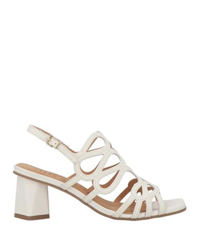 Shop Pedro Miralles Woman Sandals Ivory Size 8 Leather In White