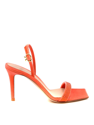 Shop Gianvito Rossi Velvet Coral Sandals In Rojo