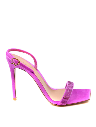 Shop Gianvito Rossi Velvet Pink Sandals In Fucsia