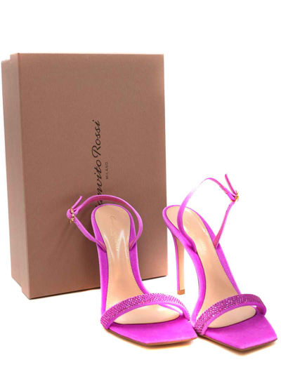 Shop Gianvito Rossi Velvet Pink Sandals In Fucsia