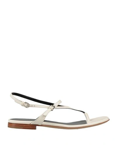 Shop Emporio Armani Woman Thong Sandal Cream Size 7.5 Leather In White