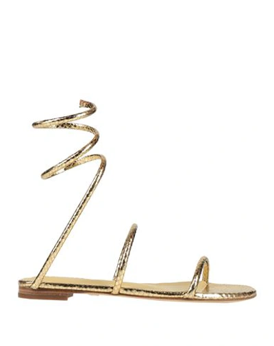 Lola Cruz Woman Sandals Gold Size 11 Leather In Gold
