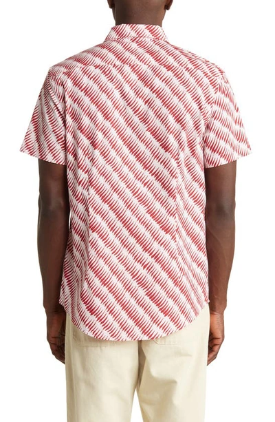 Shop Open Edit French Wave Short Sleeve Button-up Shirt In Red French Wave