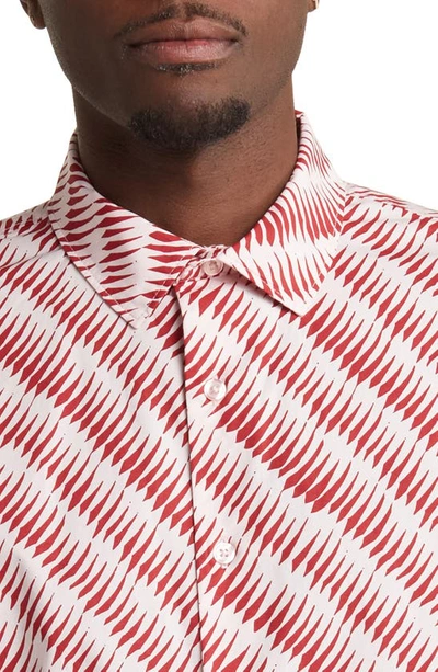 Shop Open Edit French Wave Short Sleeve Button-up Shirt In Red French Wave