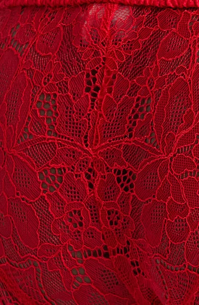 Love Stories Wild Lace Bikini Briefs In Red