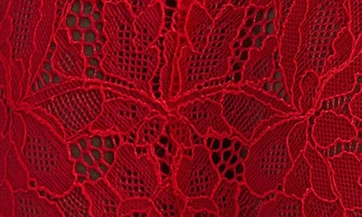 Love Stories Wild Lace Bikini Briefs In Red