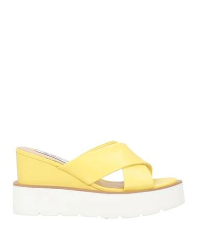 Shop Gai Mattiolo Woman Sandals Light Yellow Size 7 Leather