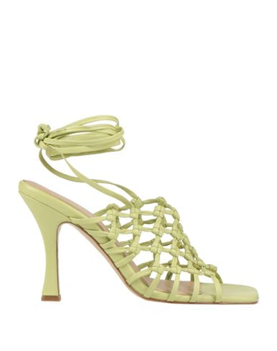 Shop Pinko Woman Sandals Sage Green Size 10 Leather