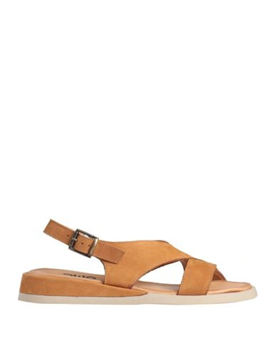 Shop Bueno Woman Sandals Camel Size 6 Leather In Beige