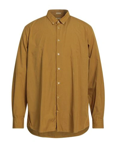 Shop Massimo Alba Man Shirt Ocher Size L Cotton In Yellow