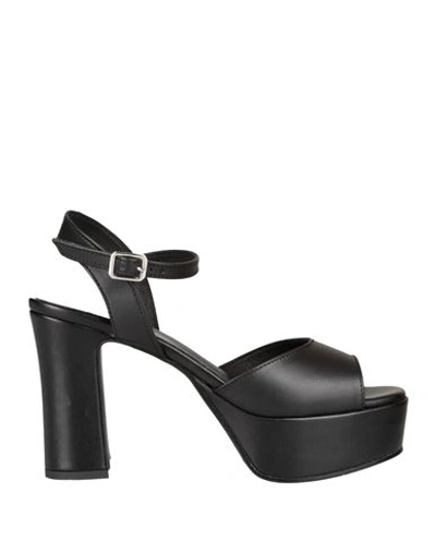 Shop David Haron Woman Sandals Black Size 6 Leather
