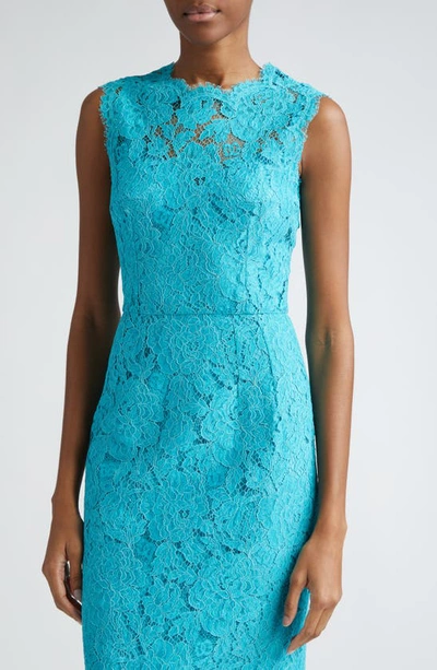 Shop Dolce & Gabbana Cordonetto Lace Sheath Dress In B4469turchese