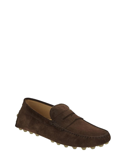 Shop Tod's Gommino In Suede In Brown