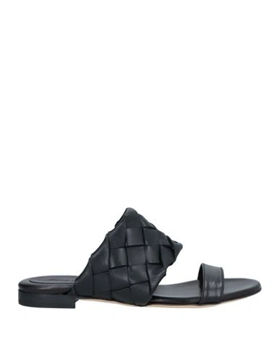 Shop Anna F . Woman Sandals Black Size 7 Leather