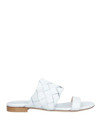 Shop Anna F . Woman Sandals White Size 7 Leather