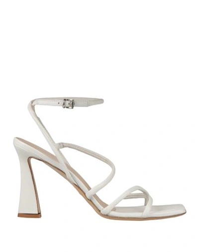 Shop Sergio Cimadamore Woman Sandals White Size 11 Leather