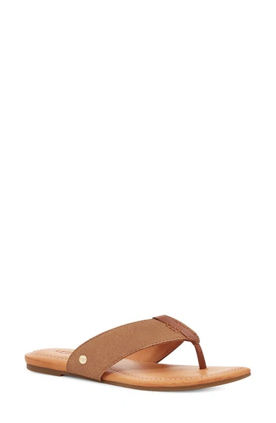 Shop Ugg Carey Flip Flop In Chestnut