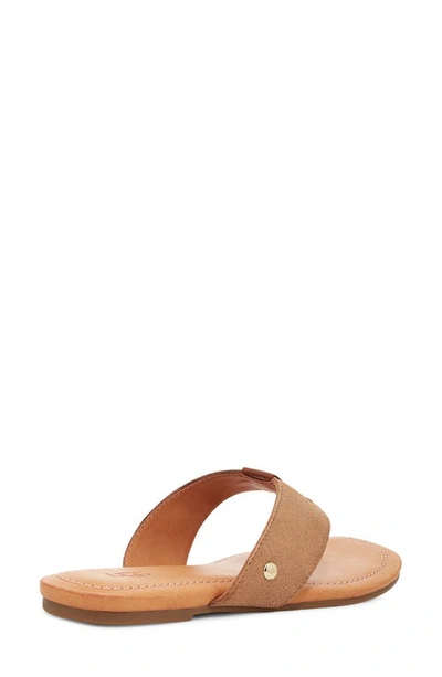 Shop Ugg Carey Flip Flop In Chestnut