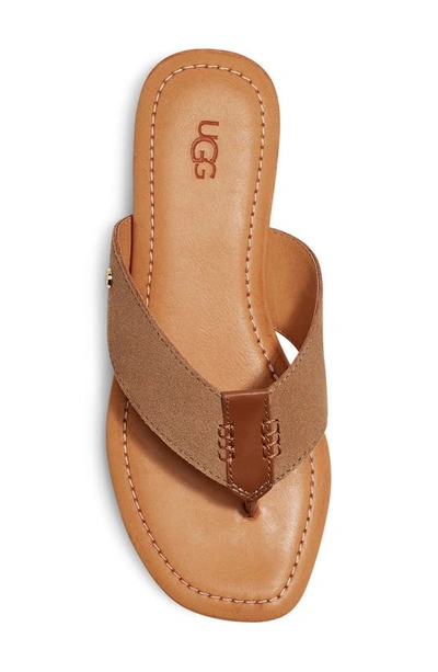 Shop Ugg Carey Flip Flop In Chestnut