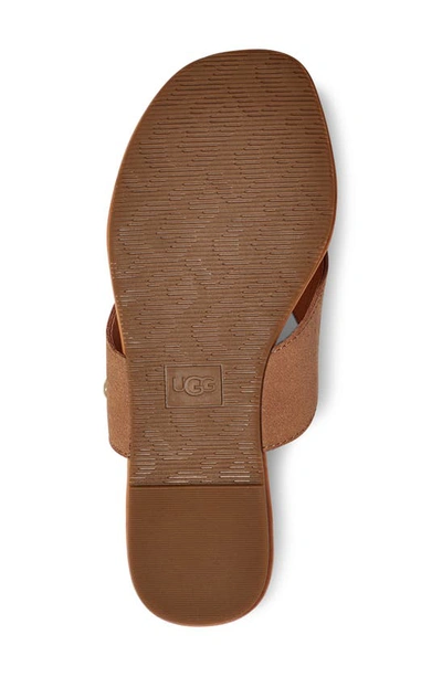 Shop Ugg Carey Flip Flop In Chestnut