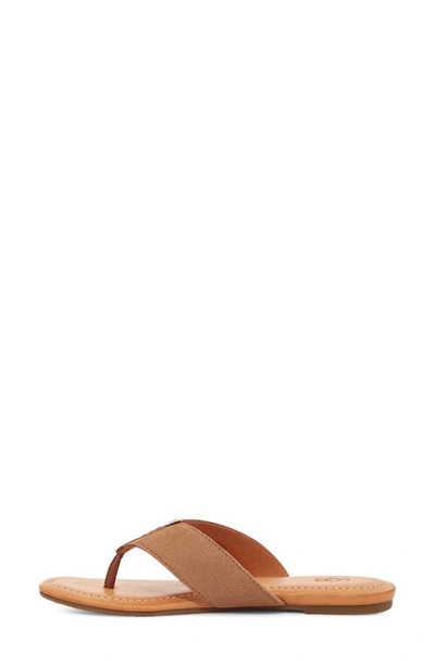 Ugg Carey Flip Flop In Chestnut