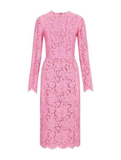 Shop Dolce & Gabbana Dress In Pink & Purple