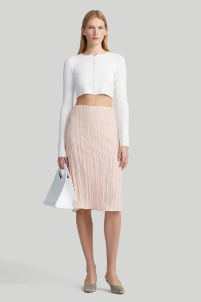 Shop Altuzarra 'bresson' Skirt In Apple Blossom
