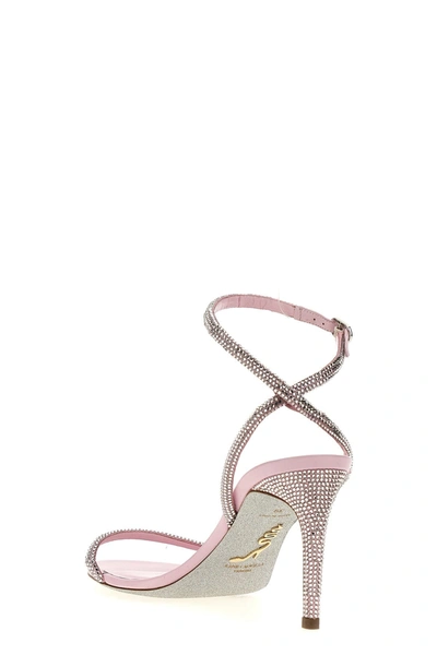 Shop René Caovilla Women 'ellabrita' Sandals In Pink