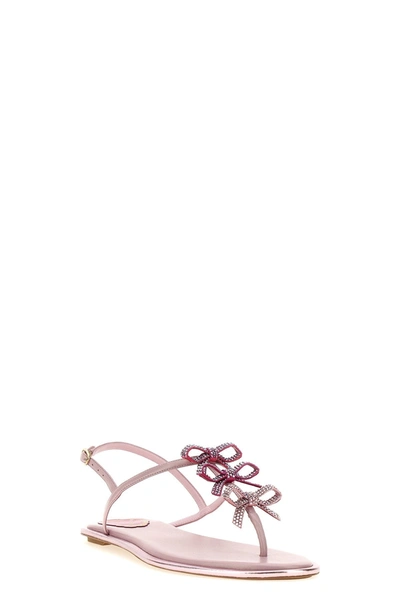 Shop René Caovilla Women 'diana' Sandals In Pink