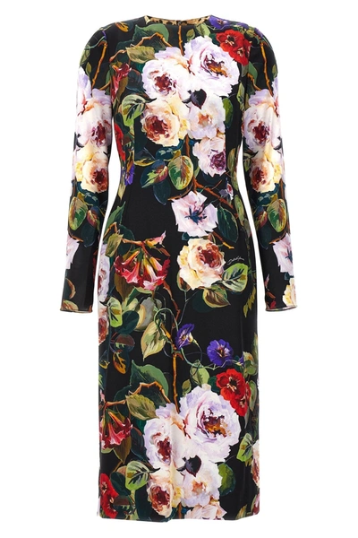 Shop Dolce & Gabbana Women 'roseto' Dress In Multicolor