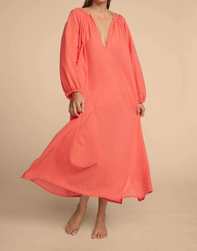 Shop Mikoh Aniwa Dress In Papaya In Pink