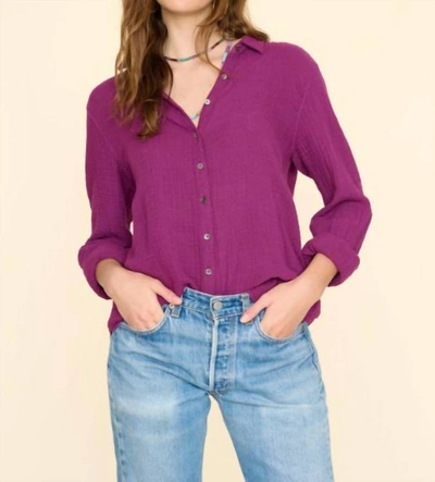 Shop Xirena Scout Shirt In Plum In Pink