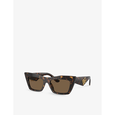 Shop Dolce & Gabbana Women's Brown Dg4435 Cat-eye Frame Acetate Sunglasses