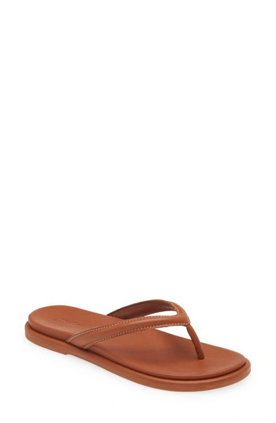 Shop Olukai Tiare Flip Flop In Fox / Fox