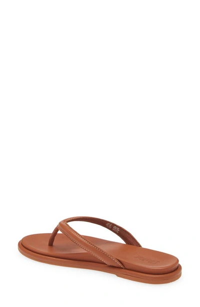 Shop Olukai Tiare Flip Flop In Fox / Fox