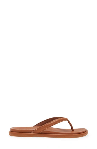 Shop Olukai Tiare Flip Flop In Fox / Fox