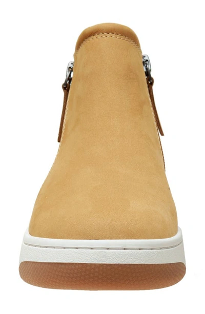 Shop Linea Paolo Glen Bootie In Tan