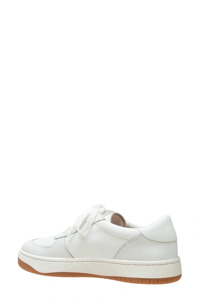 Linea Paolo Krista Sneaker In Eggshell