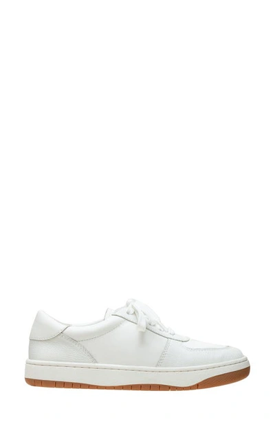 Linea Paolo Krista Sneaker In Eggshell