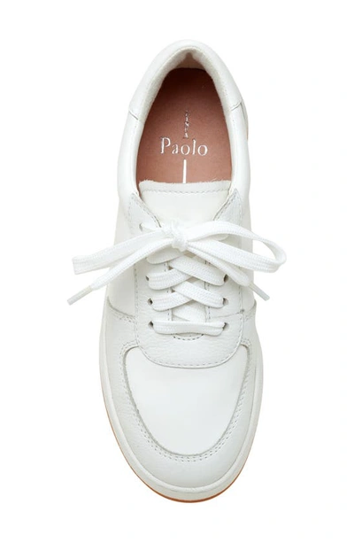 Linea Paolo Krista Sneaker In Eggshell