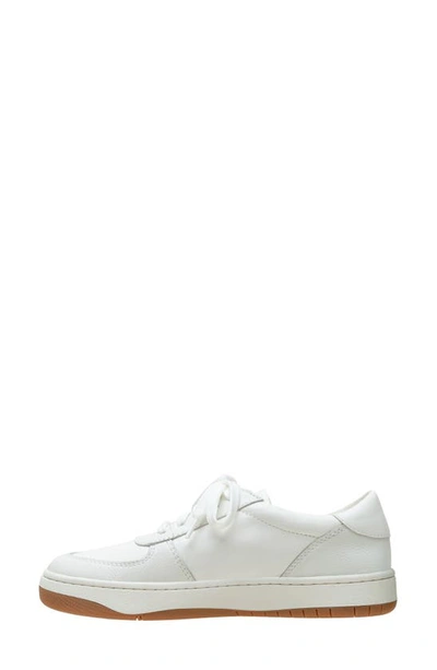 Linea Paolo Krista Sneaker In Eggshell