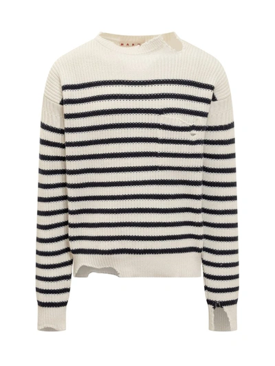 Shop Marni Striped Sweater In White