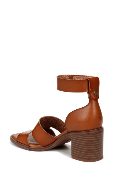 Shop Zodiac Ida Ankle Strap Sandal In Brown