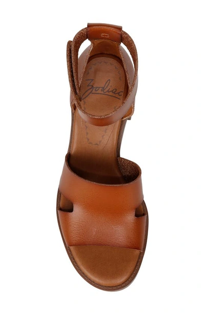 Shop Zodiac Ida Ankle Strap Sandal In Brown