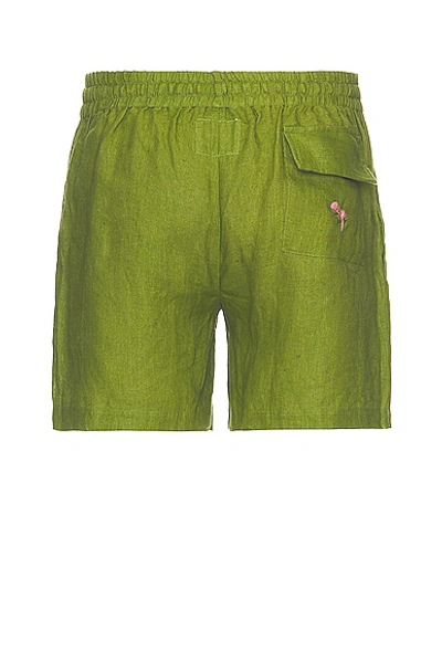 Shop Harago Embroidered Shorts In Green
