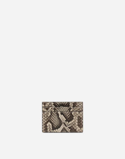 Shop Dolce & Gabbana Python Skin Card Holder In イエロー
