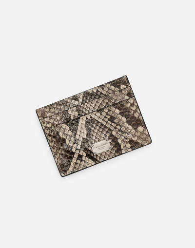 Shop Dolce & Gabbana Python Skin Card Holder In イエロー