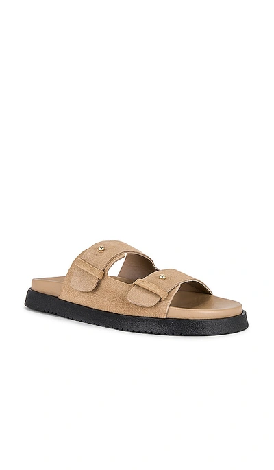 Steve Madden Mariel Sandal In Taupe