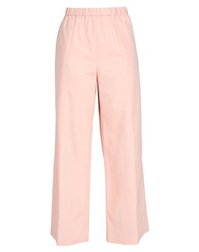 Shop Aspesi Woman Pants Blush Size 6 Cotton In Pink